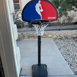NBA Basketball Court For Small Children 