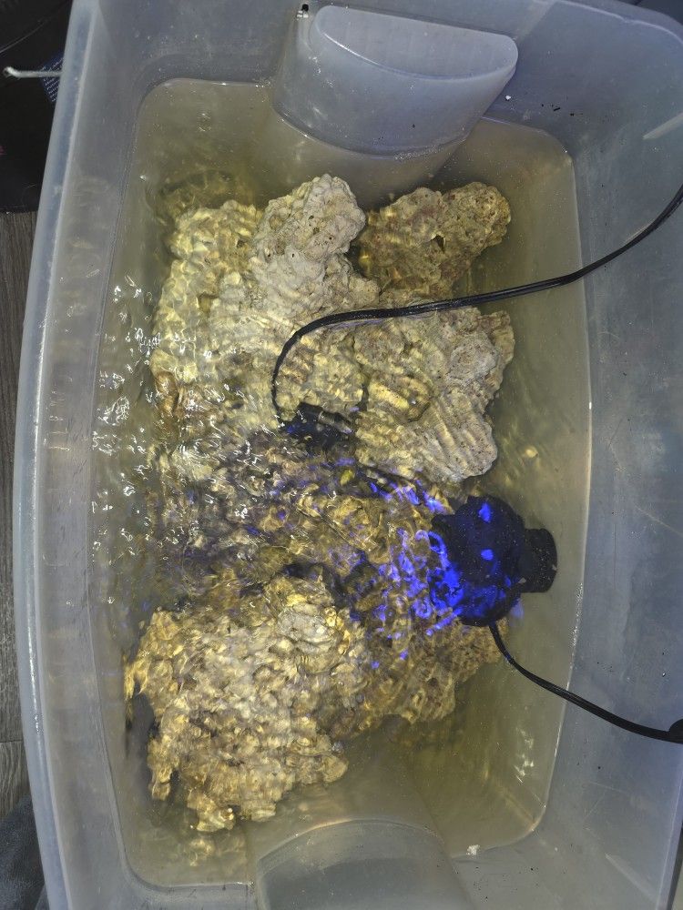 Saltwater Aquarium Rocks