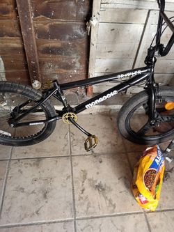 Man goose brawler bike