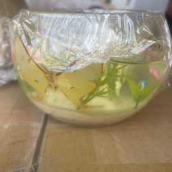 Gel Glass Candle With Real Butterfly