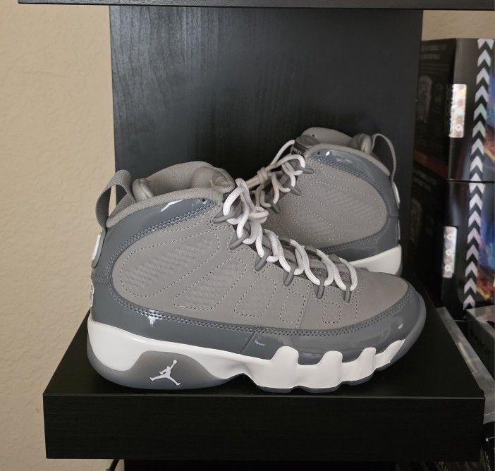 Air Jordan 9 Cool Grey