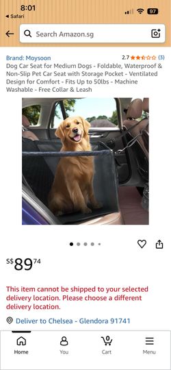 Dog Car Seat