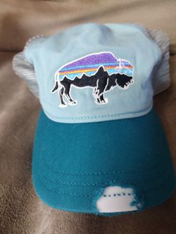 Patagonia Baseball Hat Cap Preowned