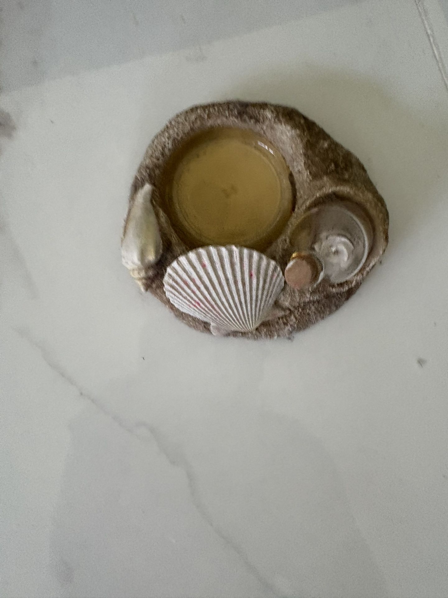 Seashell candle holder