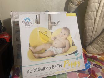 Blooming Bath Poppy