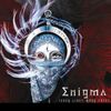 Enigma Entity Network