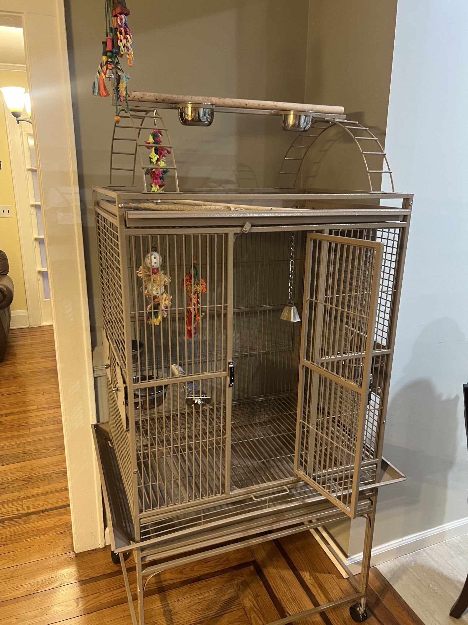 Play top Bird Cage
