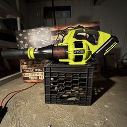 Ryobi cordless chargeableleaf blower