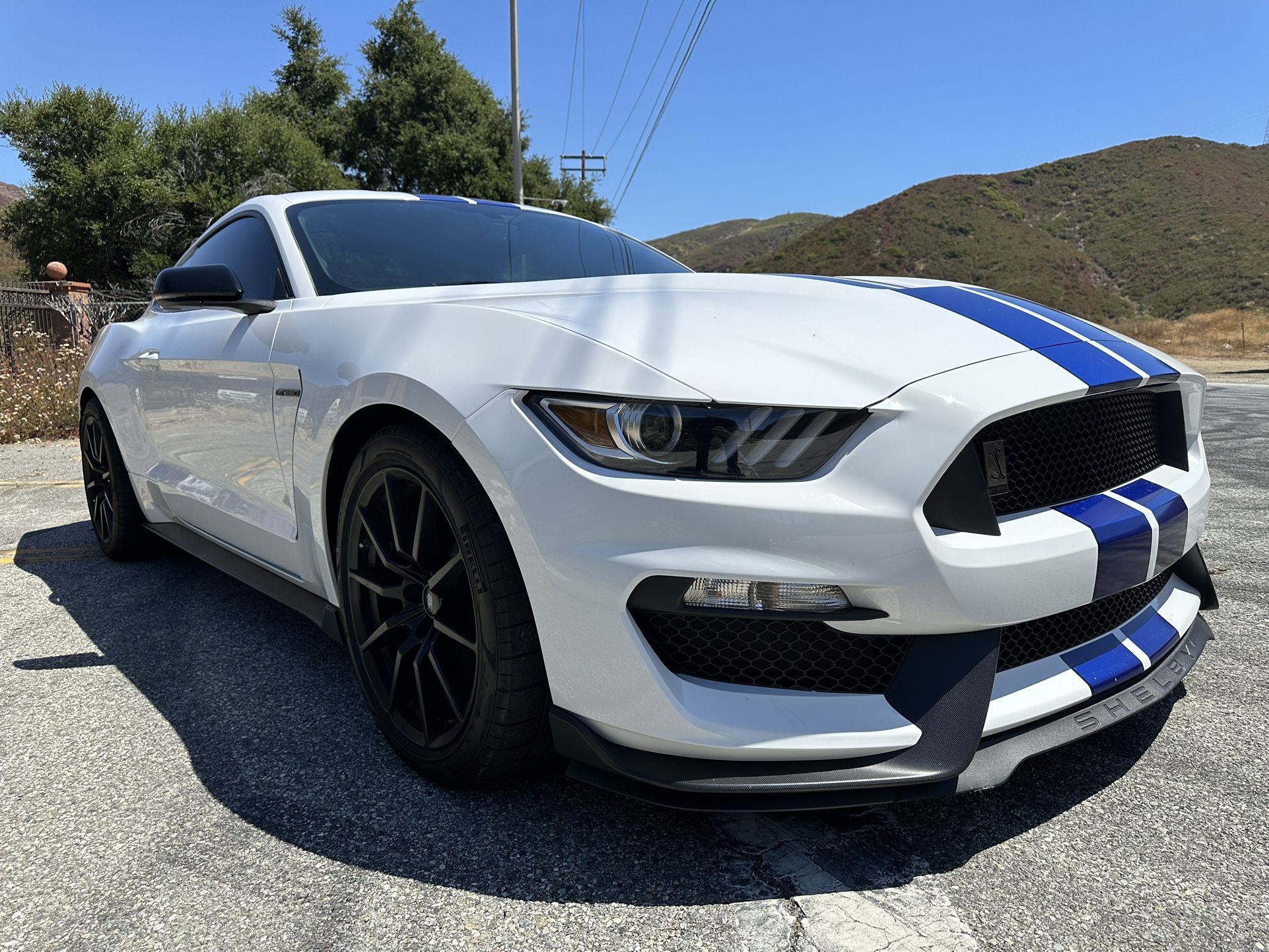 2016 Ford Shelby Gt350