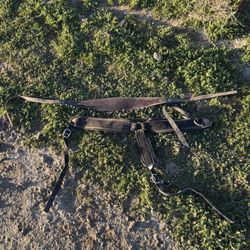 Horse Tack