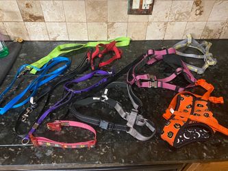 Dog items