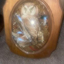 vintage owl wall art