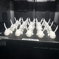 Dragons /fourth Wing