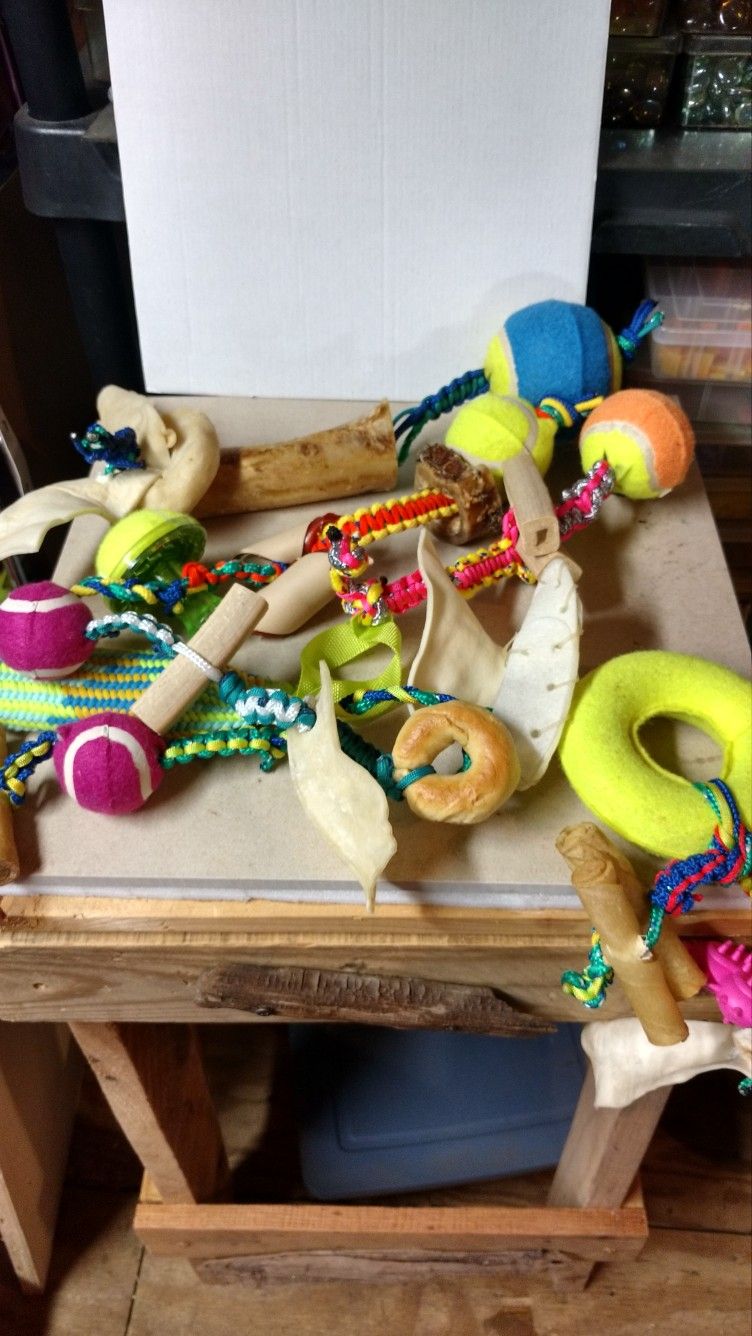 Dog Toys