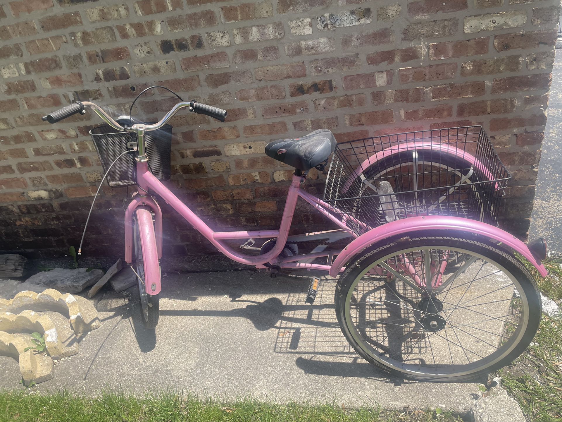 Pink Adult Tricycle 