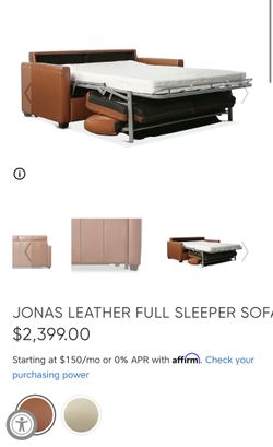 Sleeping sofa from Dania Furtiture.