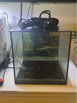 8 gallon rimless tank