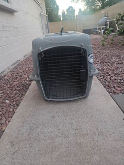 Dog crate