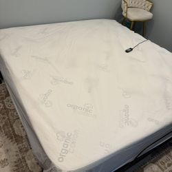 King Bed & Electric Head Raising Frame