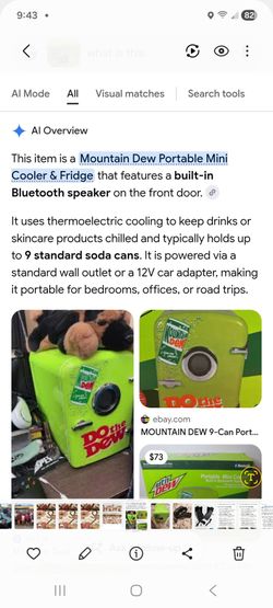 Cooler and fridge/Bluetooth speaker