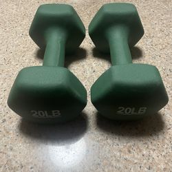 20lb Dumbbells 