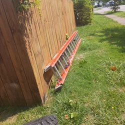 24ff Louisville Ladder