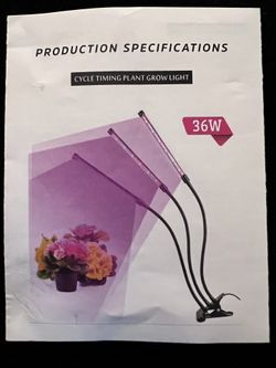 Grow Light Plant