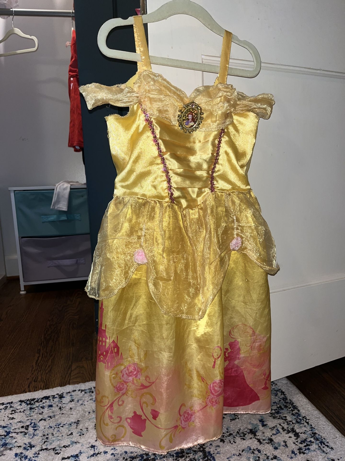 Princess Dresses 2t-5t