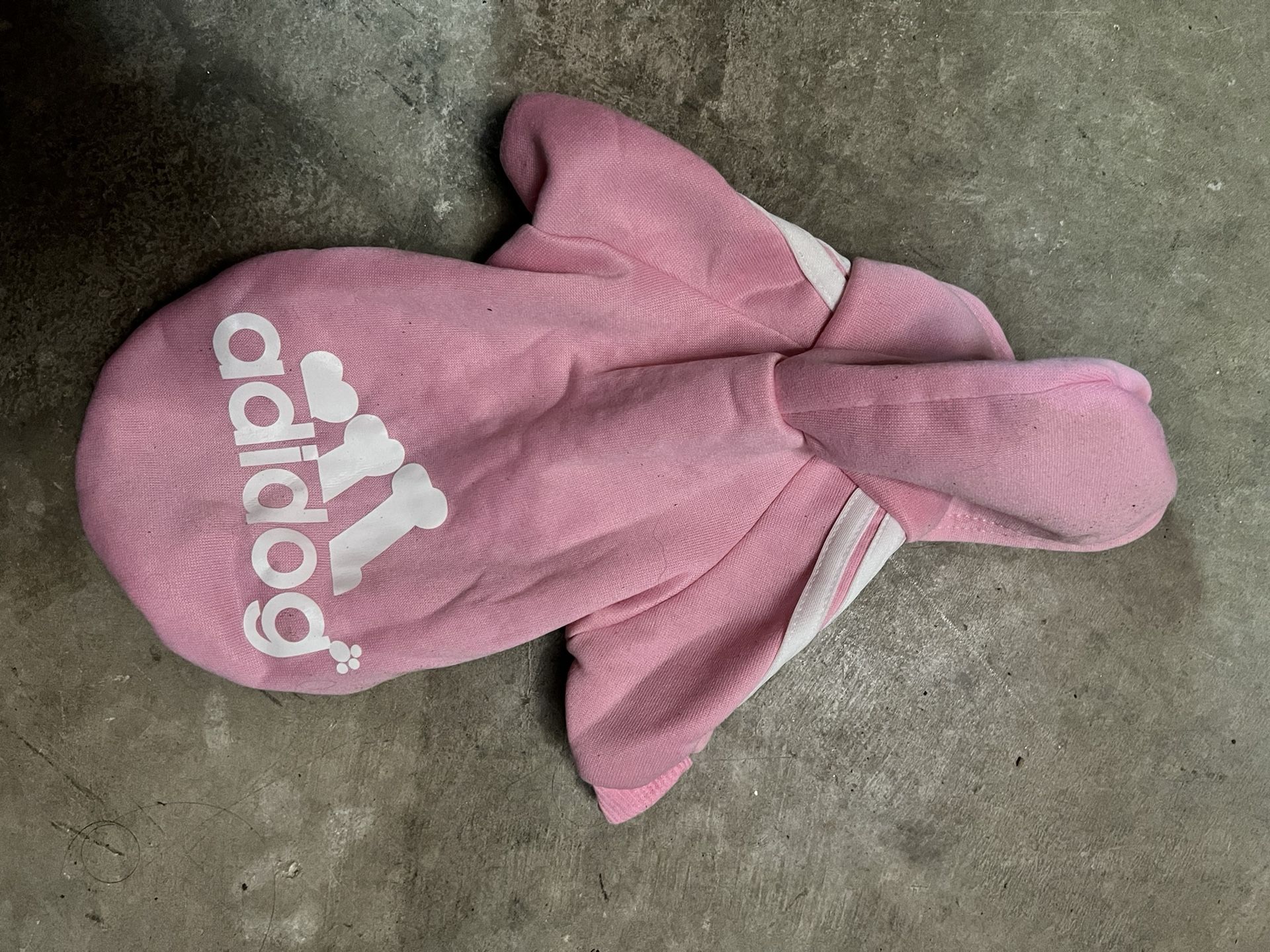 jacket for small dog