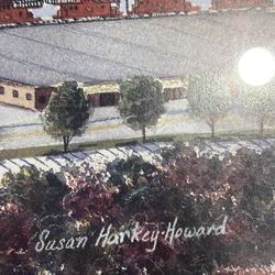 Gamecock university painting