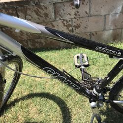 Sedona Giant Bike #2