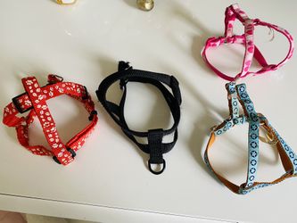 Dog lot of Leashes, Harneses, and Collars  assorted sizes
