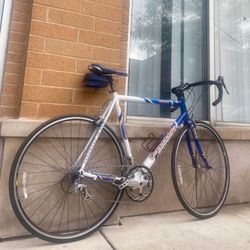 Cannondale R600 bike