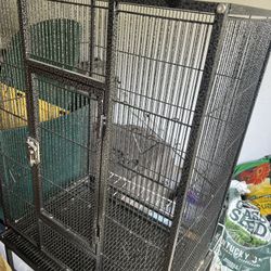 Bird Cage