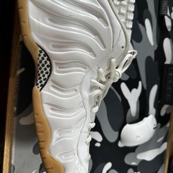 Foamposite 15sz