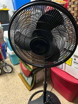 Tall oscillating fan