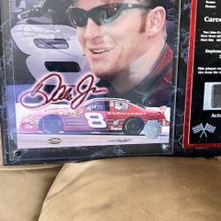 Dale Earnhardt Jr