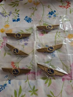 Eastern Airlines Junior Pilot Wings Pin