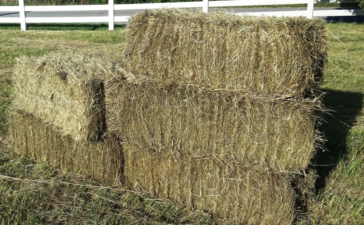 Hay, $7/bale, Fresh 3. 6. 0. - 9. 7. 0. - 1. 8. 5. 6.