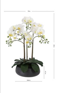 Faux 24” Phalaenopsis Orchid