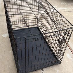 Dog Kennel 