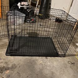 Dog Crate Will Collapsed 