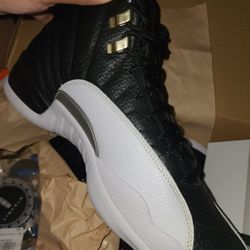 Air Jordan RETRO 12