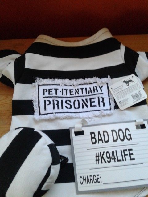 Prisoner Outfit for Large Dogs