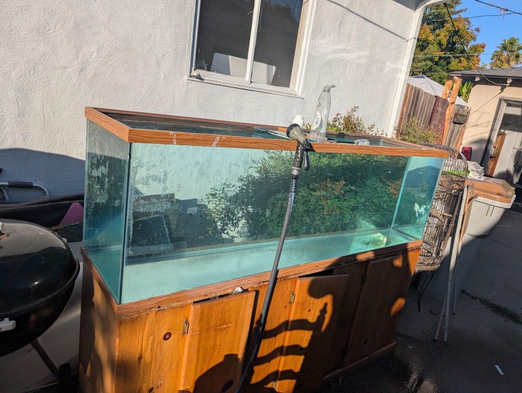 125 Gallon Fish Tank Aquarium
