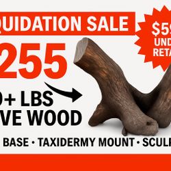 MASSIVE Olive Wood Tree Fork Sculpture - Table Base/Taxidermy Mount - 100+ LBS - $595 UNDER RETAIL! 