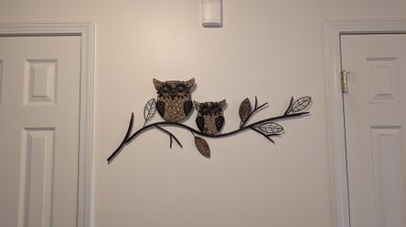 Wooden Owl Wall Art (Cash Only)