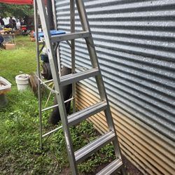 6' Ladder 