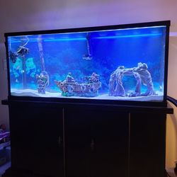 55 Gallon Fish Tank