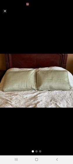 Gorgeous Sage Green Pillow Shams